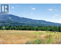 1711 Burman Road, Clearwater, BC V0E1N0 Photo 55