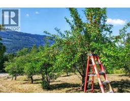 1711 Burman Road, Clearwater, BC V0E1N0 Photo 53