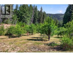 1711 Burman Road, Clearwater, BC V0E1N0 Photo 54