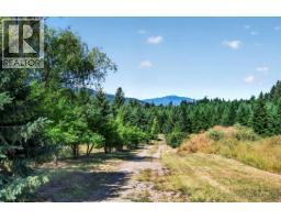 1711 Burman Road, Clearwater, BC V0E1N0 Photo 61