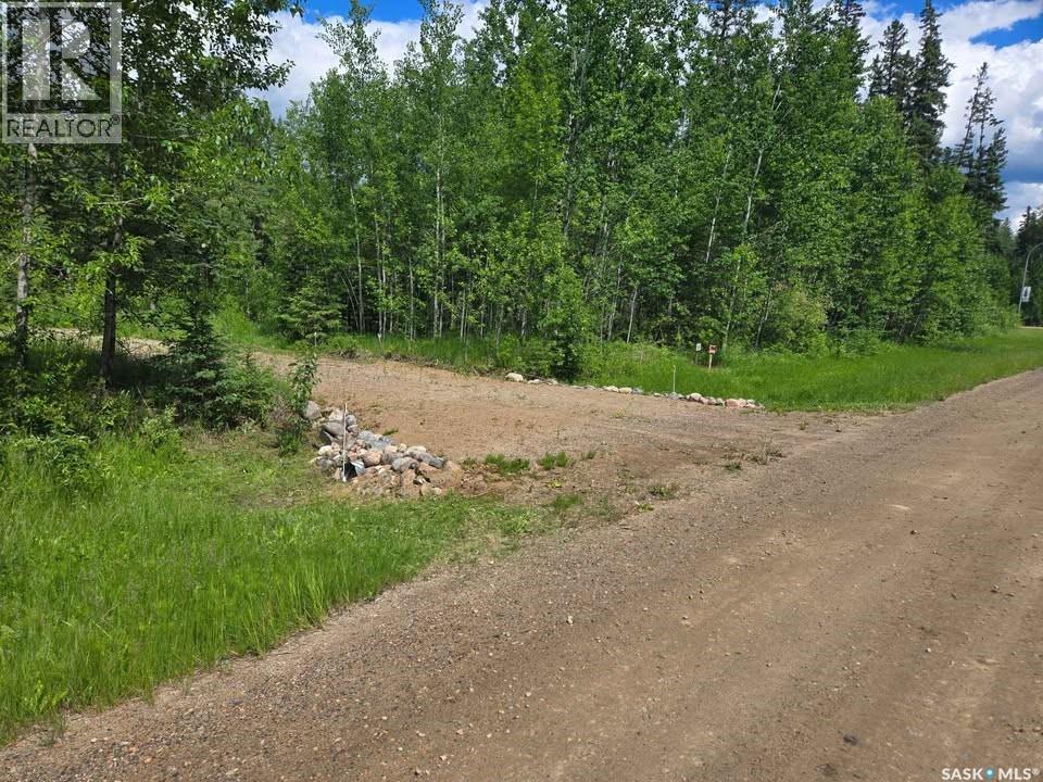 39 Cranberry Creek CRESCENT, Candle Lake — photo 11