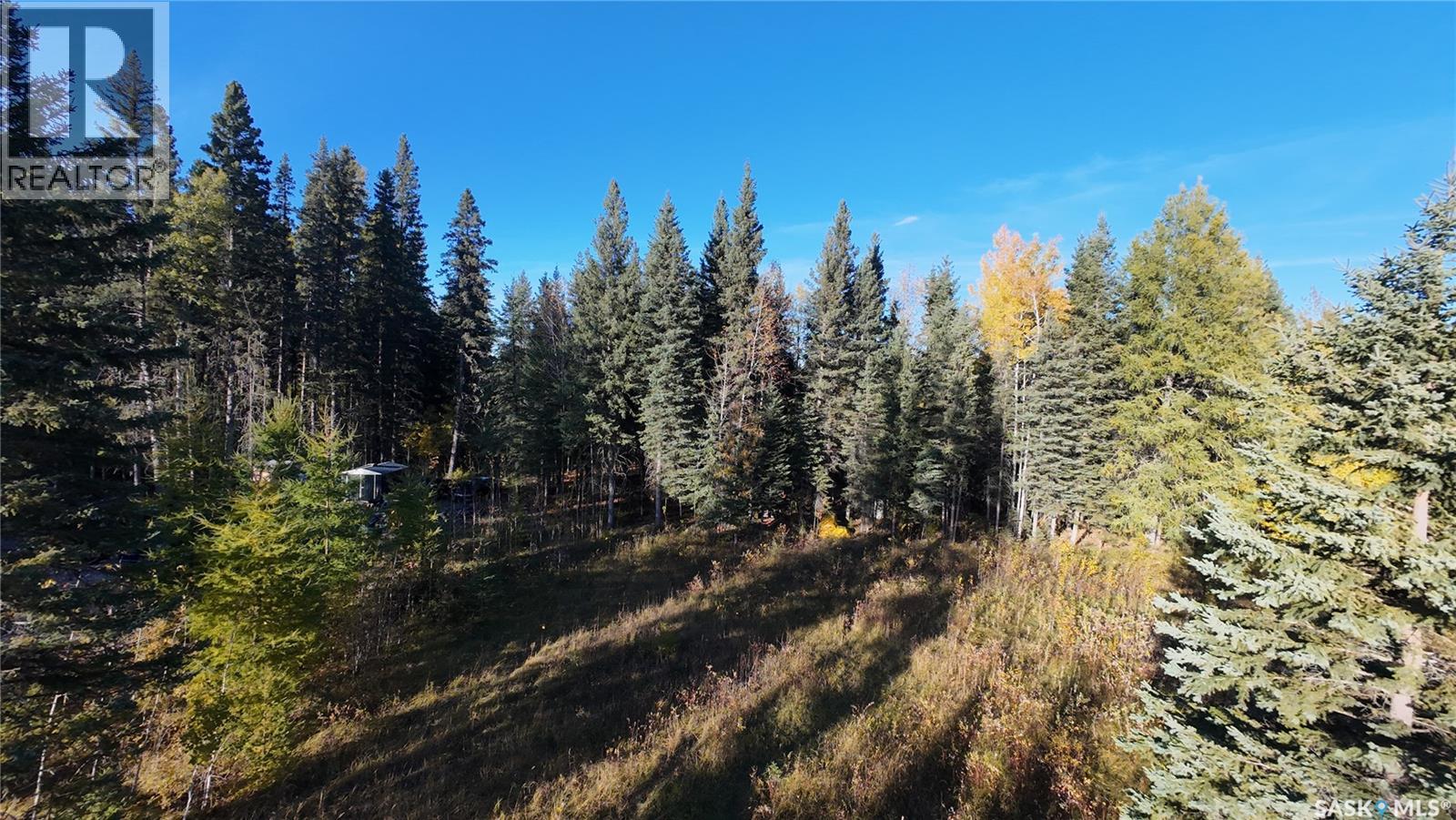 39 Cranberry Creek CRESCENT, Candle Lake — photo 16