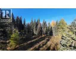 39 Cranberry Creek Crescent, Candle Lake, SK S0J3E0 Photo 16