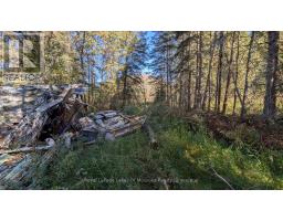 1827 Highway 141 Highway, Muskoka Lakes, ON P0B1M0 Photo 10