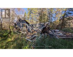 1827 Highway 141 Highway, Muskoka Lakes, ON P0B1M0 Photo 11
