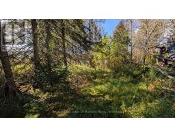 1827 Highway 141 Highway, Muskoka Lakes, ON P0B1M0 Photo 12