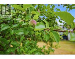 3795 Michigan Rd, Port Alberni, BC V9Y5Z9 Photo 33