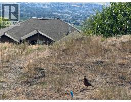 1408 Red Mountain Place, Vernon, BC V1B4A3 Photo 20