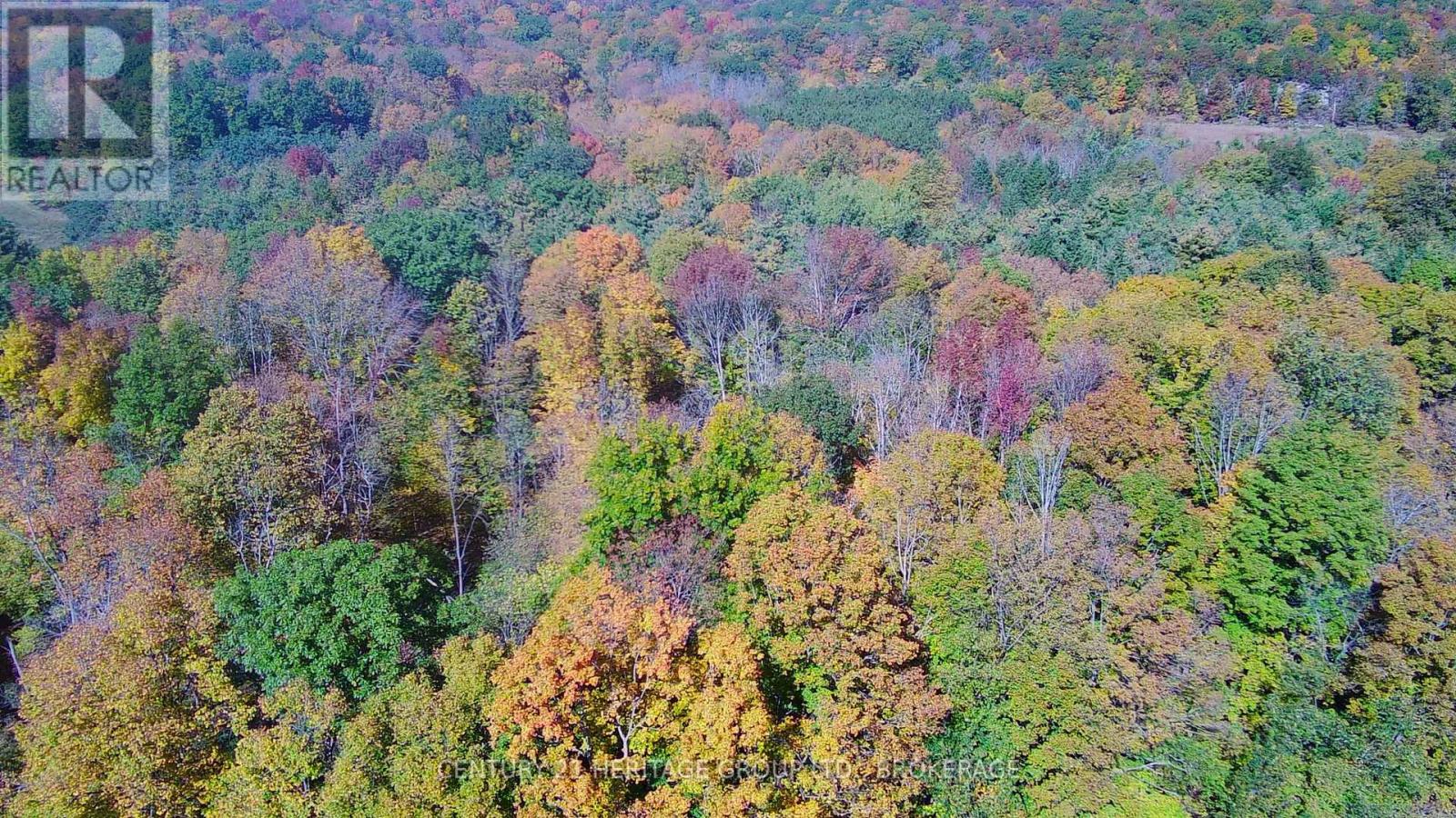 00 Burnt Hills Road — photo 44