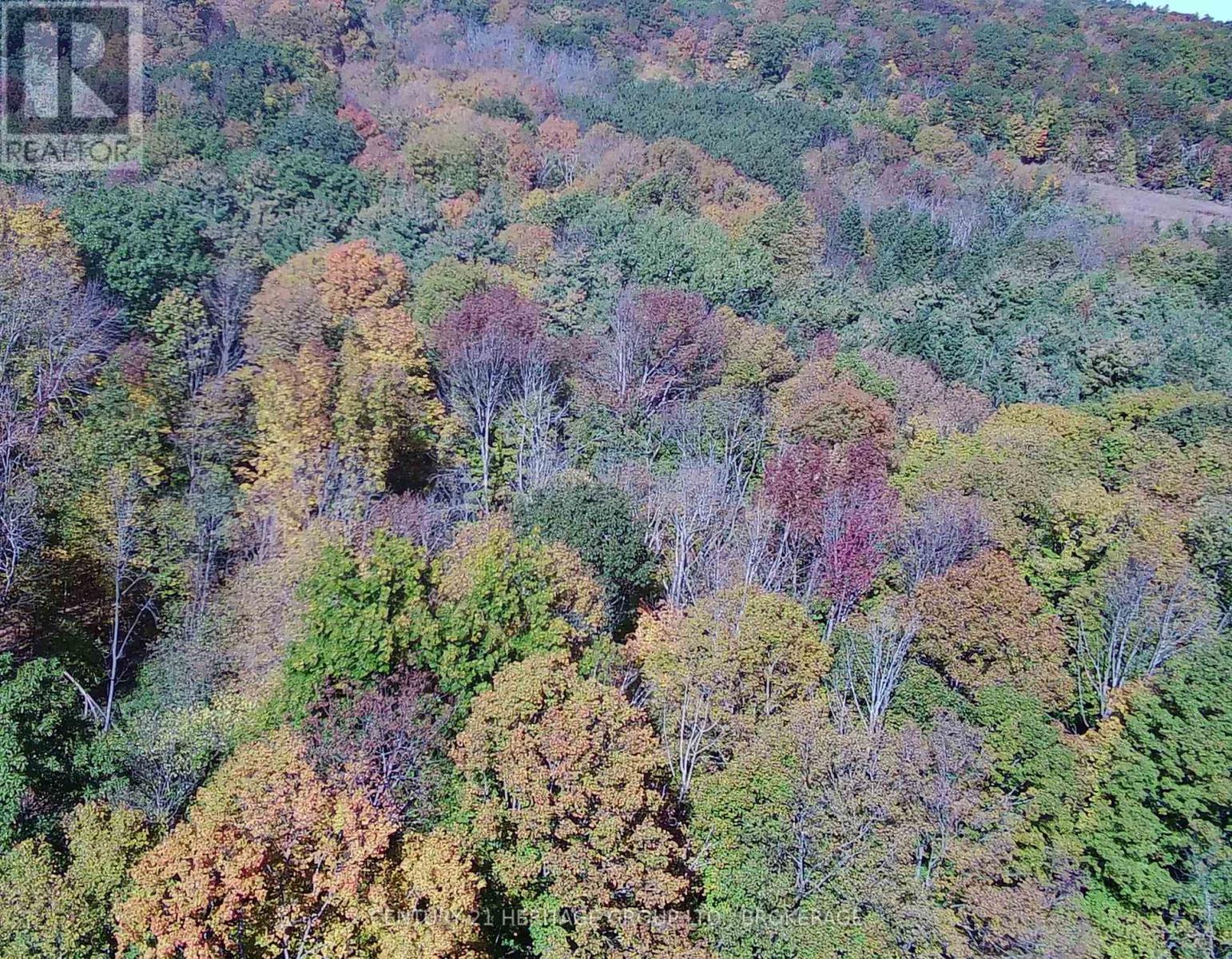00 Burnt Hills Road — photo 39
