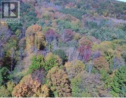 00 Burnt Hills Road, Frontenac, ON K0H1H0 Photo 39