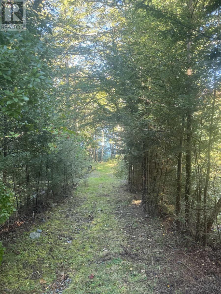 Property 28 of 30 of 95 Natural Forest Lake Road