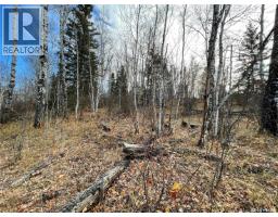 Lot 7 - Sunset Cres, Cowan Lake, SK S0J0E0 Photo 14