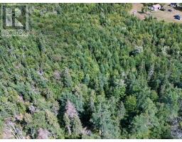 New Boston Rd, New Boston Road, Albert Bridge, NS B1K2P7 Photo 6