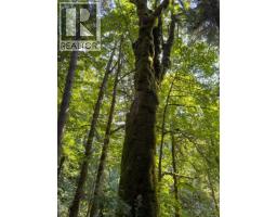 1220 Shawnigan-mill Bay Rd, Mill Bay, BC V0R2P2 Photo 95