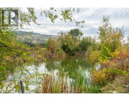 5467 Sawmill Road, Oliver, BC V0H1T9 Photo 60