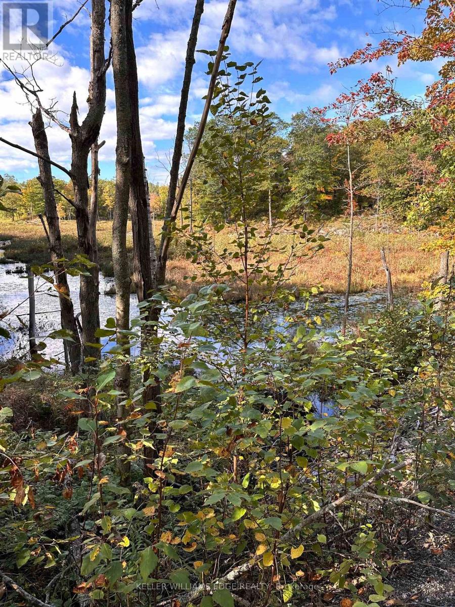 216 SMOOTH ROCK ROAD - 34