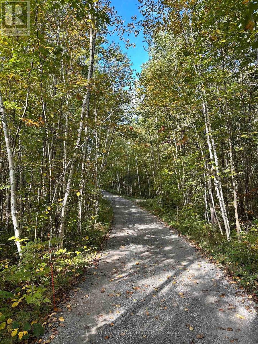 216 SMOOTH ROCK ROAD - 2
