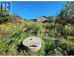 3pc Bathroom - 5174 316 Highway, Charlos Cove, NS B0H1T0 Photo 8