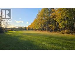 68268 Campsite Road, Plamondon, AB T0A2T0 Photo 39
