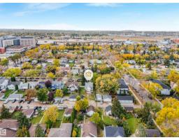 11233 103 St Nw, Edmonton, AB T5G2H6 Photo 57