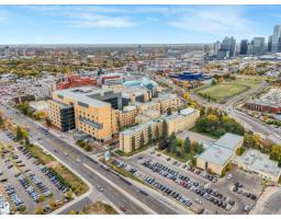 11233 103 St Nw, Edmonton, AB T5G2H6 Photo 60