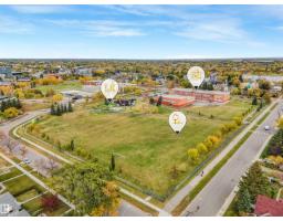 11233 103 St Nw, Edmonton, AB T5G2H6 Photo 65