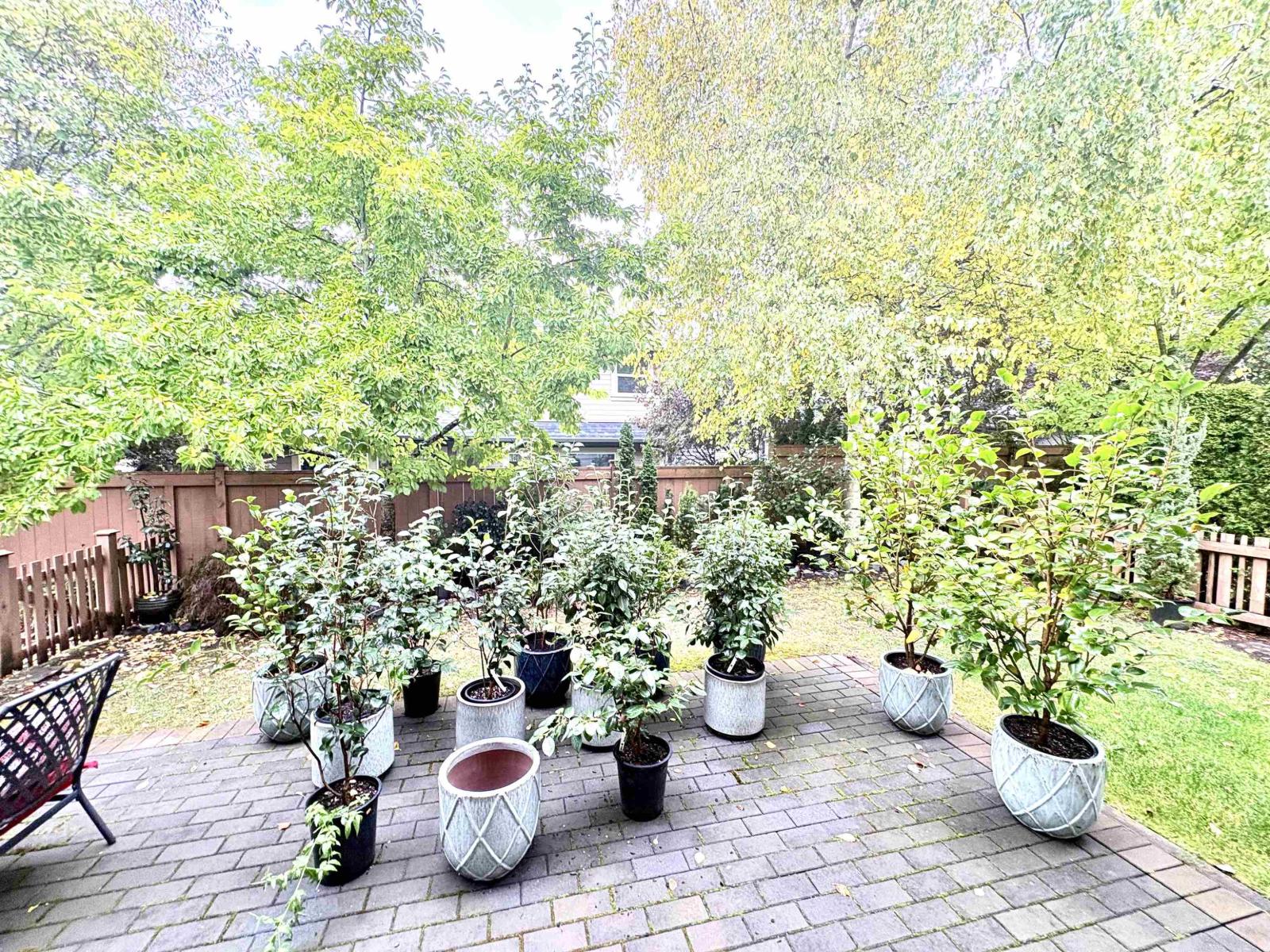 46 2453 163 STREET, Surrey