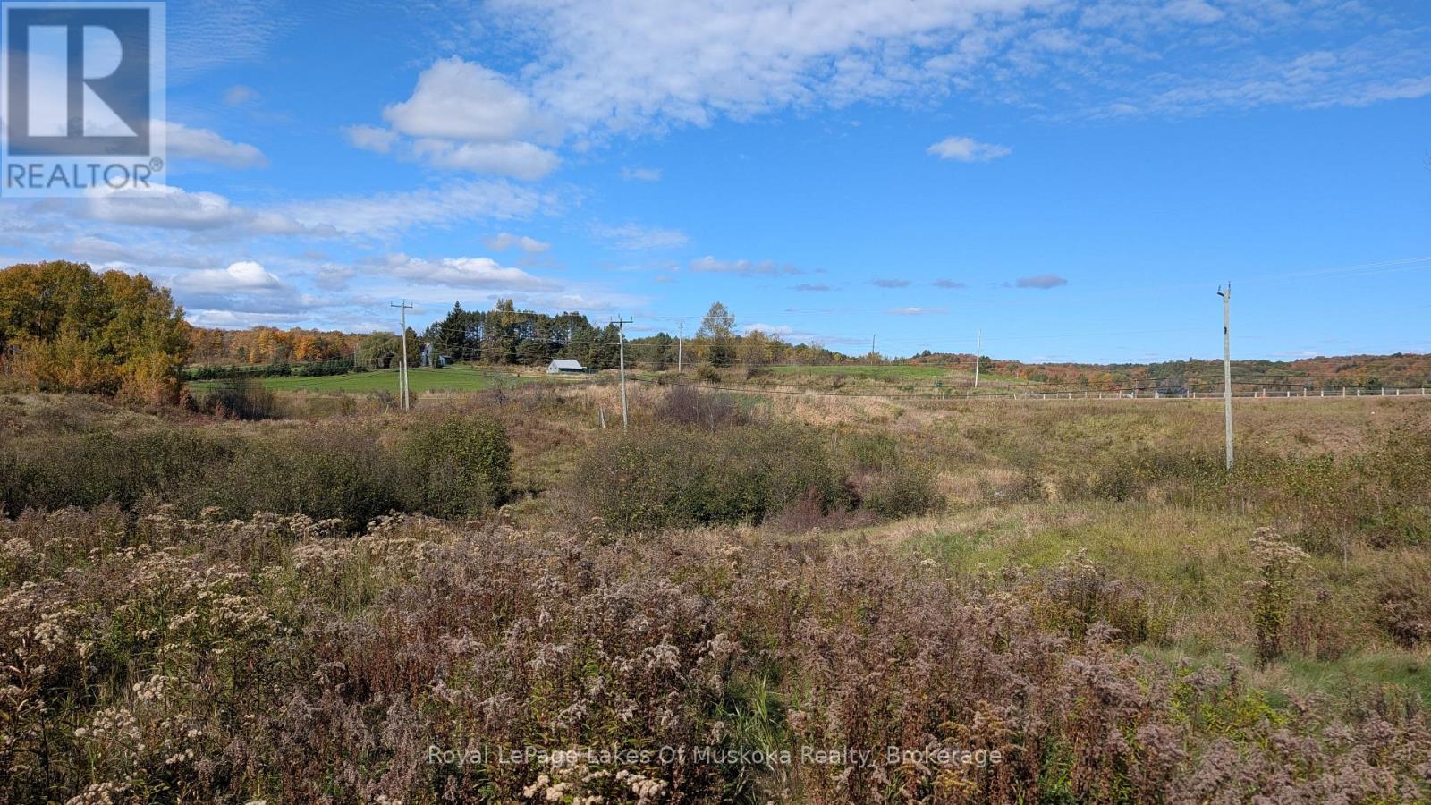 1827 HIGHWAY 141 HIGHWAY, Muskoka Lakes (Watt) — photo 10