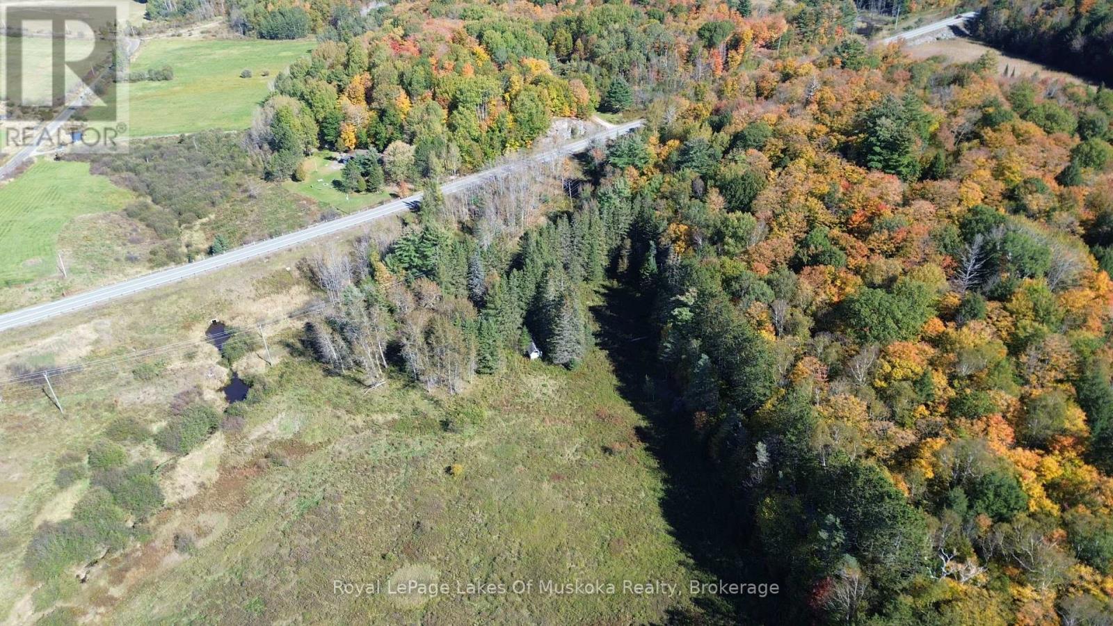 1827 HIGHWAY 141 HIGHWAY, Muskoka Lakes (Watt) — photo 3