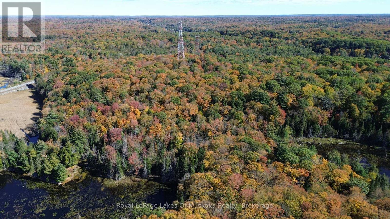 PT LT 14 CON B HIGHWAY 141 HIGHWAY, Muskoka Lakes (Watt) — photo 4