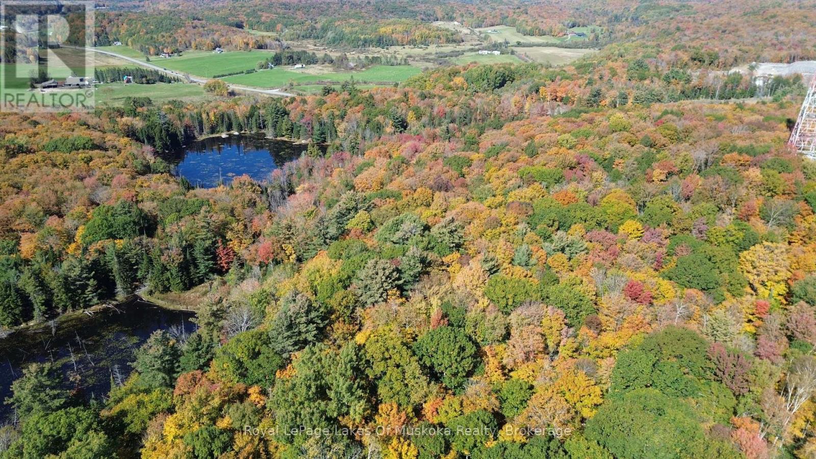 PT LT 14 CON B HIGHWAY 141 HIGHWAY, Muskoka Lakes (Watt) — photo 6