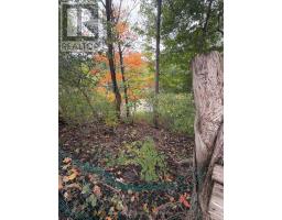 4601 Colonel Talbot Road, London South, ON N6P1P7 Photo 12