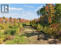 Lot Highway 10, Coal Creek, NB O0O0O0 Photo 19