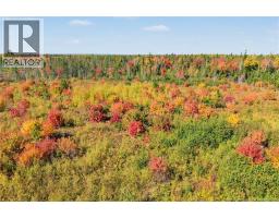 Lot Highway 10, Coal Creek, NB O0O0O0 Photo 22