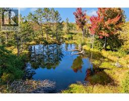 Lot Highway 10, Coal Creek, NB O0O0O0 Photo 9