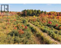 Lot Highway 10, Coal Creek, NB O0O0O0 Photo 20