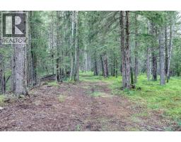 5123 Township Road 342 A, Rural Mountain View County, AB T4C1A1 Photo 39