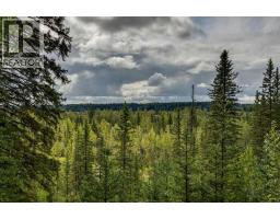 Den - 5123 Township Road 342 A, Rural Mountain View County, AB T4C1A1 Photo 7