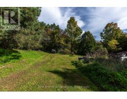 776813 Highway 10, R.r. #3 Highway, Chatsworth, ON N0H1R0 Photo 23