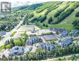 211 - 796468 Grey 19 Road, Blue Mountains, ON L9Y3Z2 Photo 6