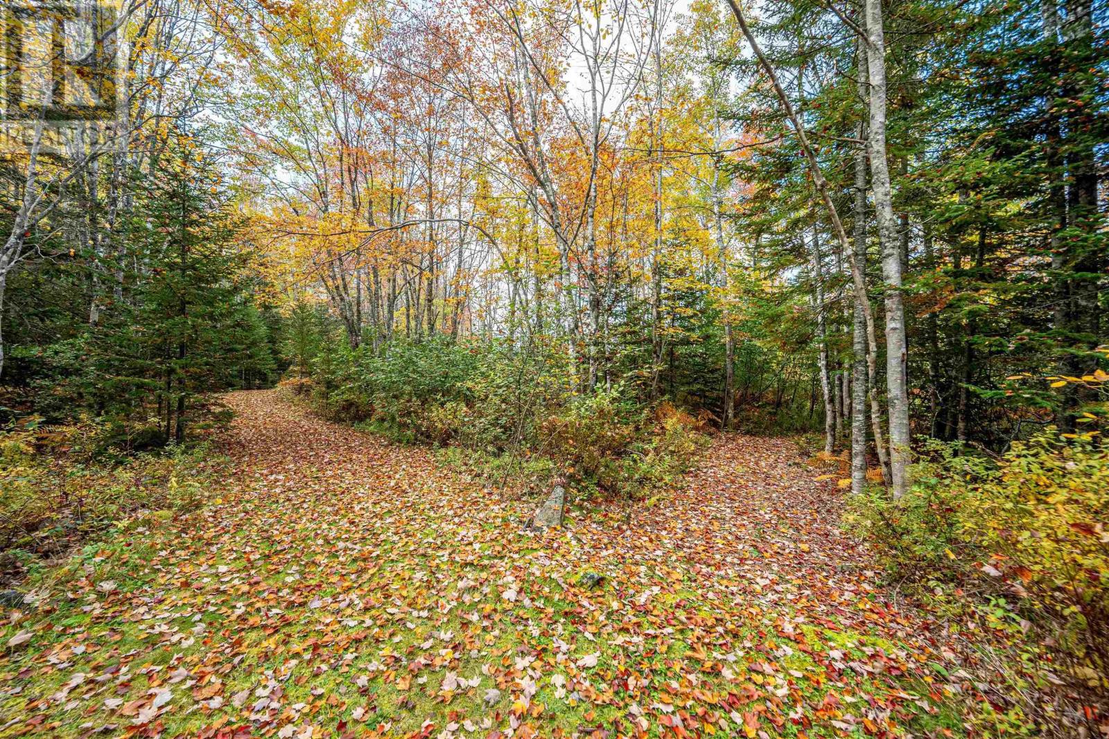 1462 East Dalhousie Road - Image 27