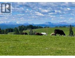 3pc Bathroom - 10, 33139 Range Road 55, Rural Mountain View County, AB T0M1X0 Photo 8
