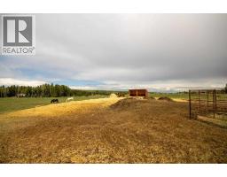 Storage - 10, 33139 Range Road 55, Rural Mountain View County, AB T0M1X0 Photo 14