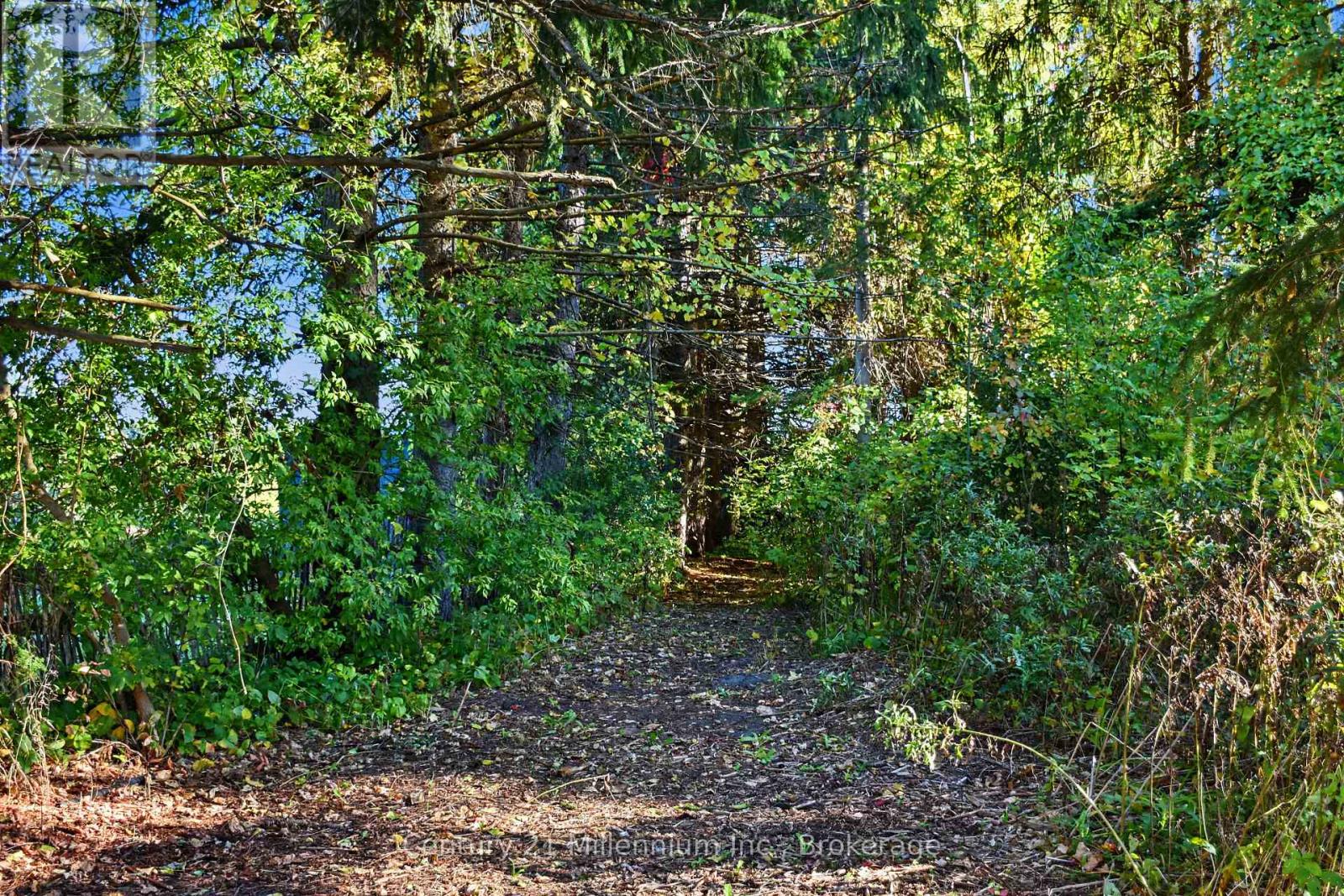 290 WARRINGTON ROAD - Image 9