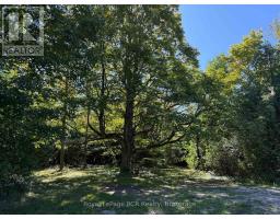 204470 Highway 26, Meaford, ON N4K5W4 Photo 33
