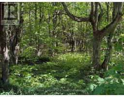 204470 Highway 26, Meaford, ON N4K5W4 Photo 34