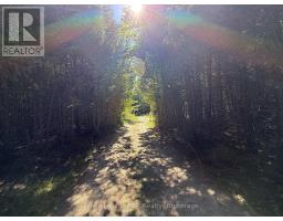 204470 Highway 26, Meaford, ON N4K5W4 Photo 37