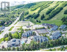404 - 796468 Grey 19 Road, Blue Mountains, ON L9Y0N6 Photo 29