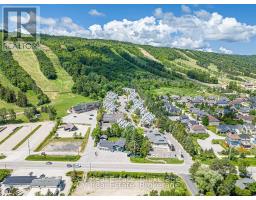404 - 796468 Grey 19 Road, Blue Mountains, ON L9Y0N6 Photo 27